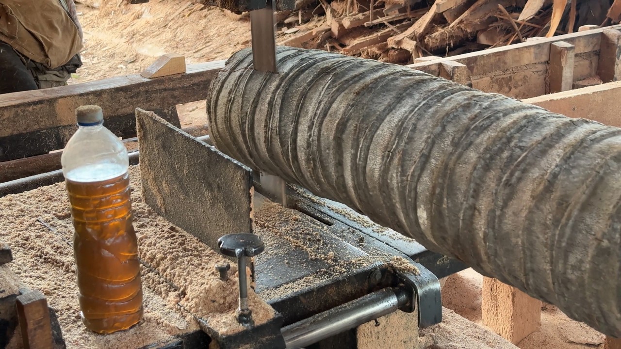 Making 2x20 Wood from Coconut Trees with Sawmill Machine