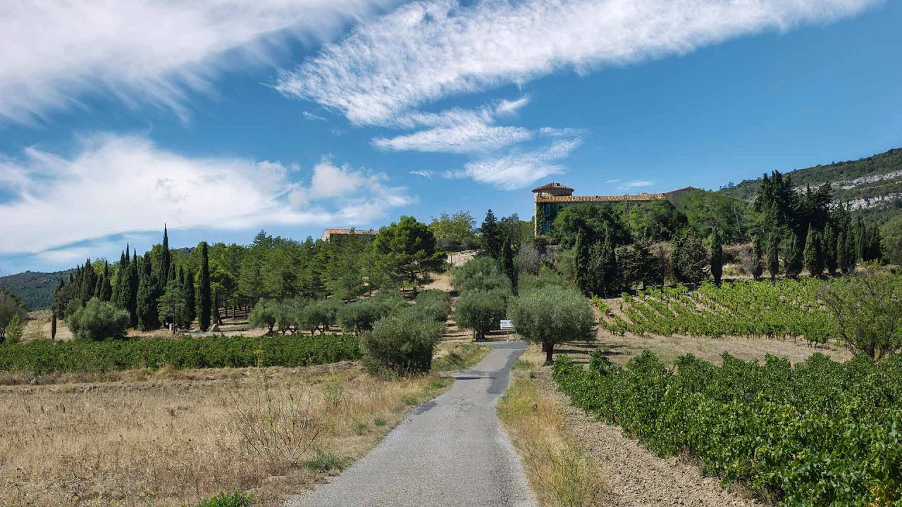 La Maison Louis Max - Le Sud - Chateau Pech Latt