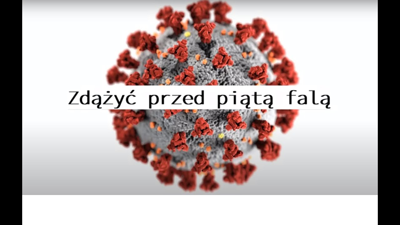 Zdążyć przed piątą falą