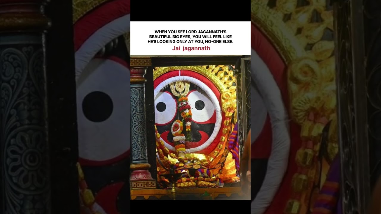 The Jagannath Rath Yatra in 2026 will be held on July 16th.🙏🏻🙏🏻@Hiiajayvlogger ❤️