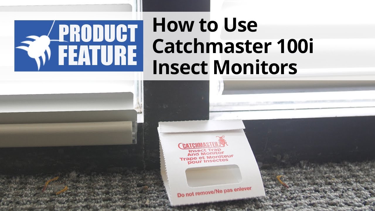 How to Use Catchmaster 100i Insect Monitors | DoMyOwn.com