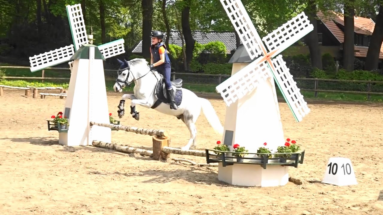 Paard & Vlog 27 Bixie Cross