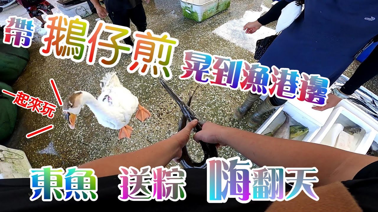 【阿坤的水族遊樂園】帶鵝仔煎 送粽到港邊