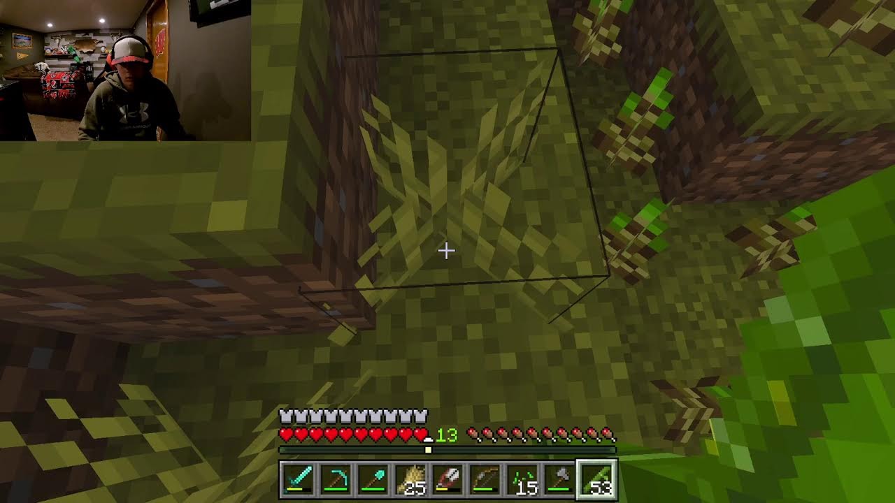 a bunch of idiots play minecraft #minecraft #server #chill #idiots