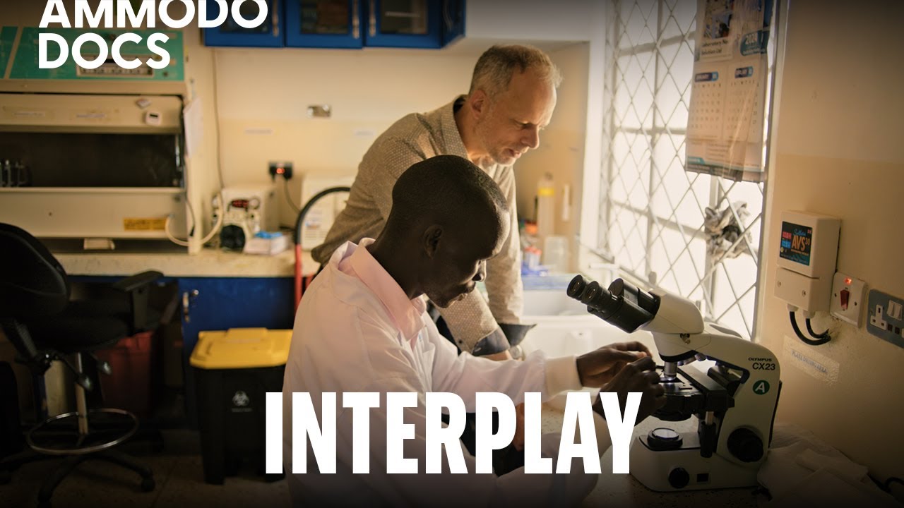 Interplay: Teun Bousema over de strijd tegen malaria | Ammodo Docs