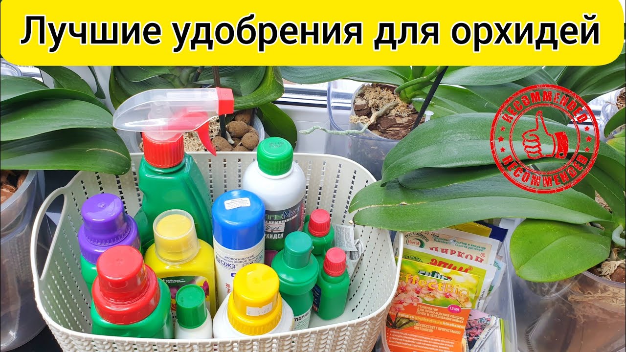Лучшие УДОБРЕНИЯ для орхидей