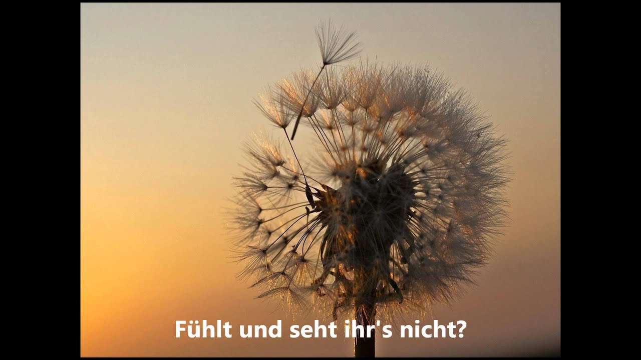 Richard Wagner - Liebestod aus 