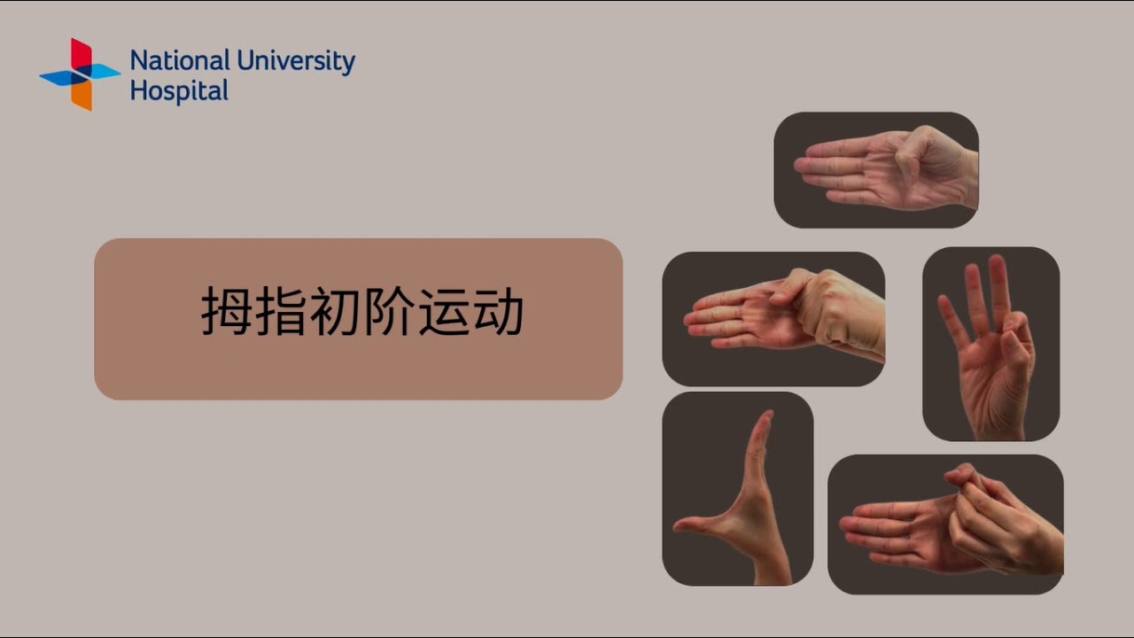 Active Range of Motion Exercises for the Thumb (Chinese)