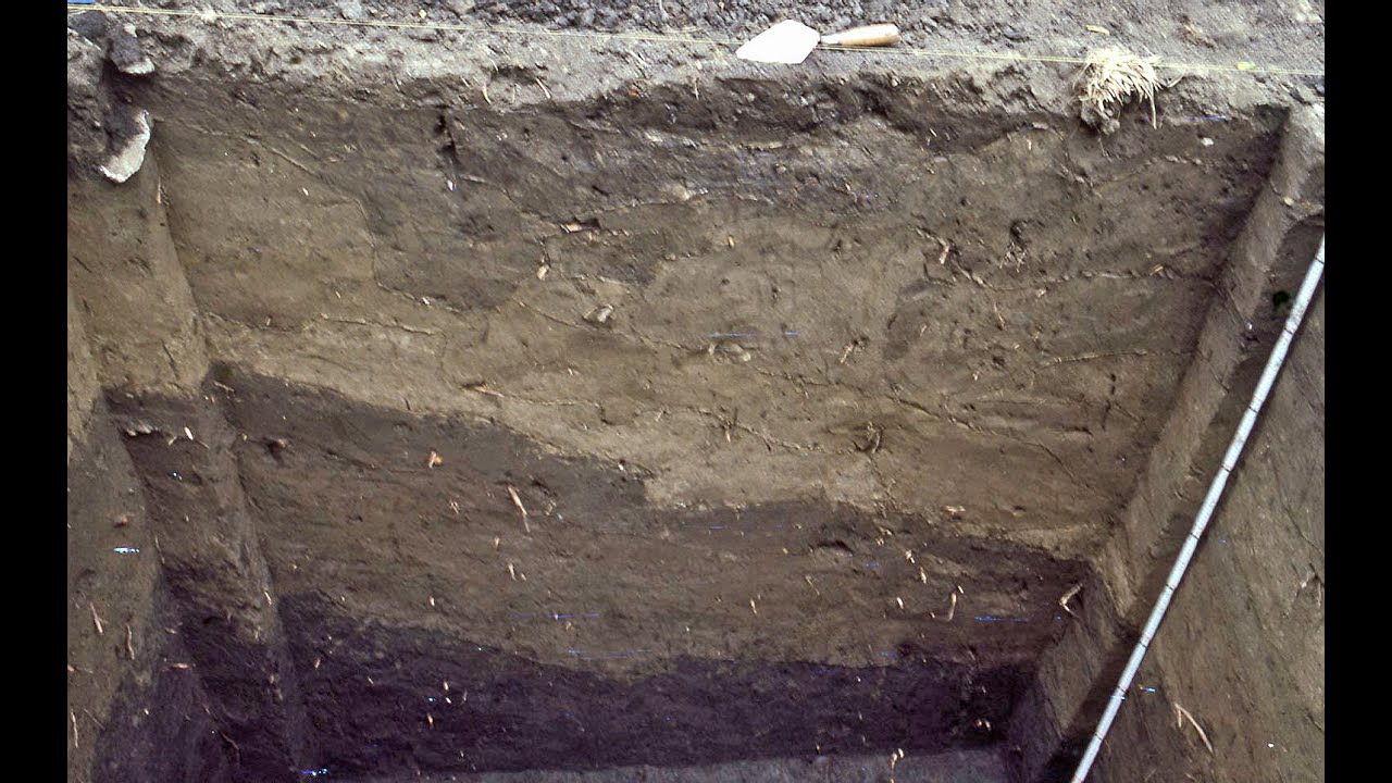 Revisiting Mound 1 Excavations from 1991 by Bill Iseminger