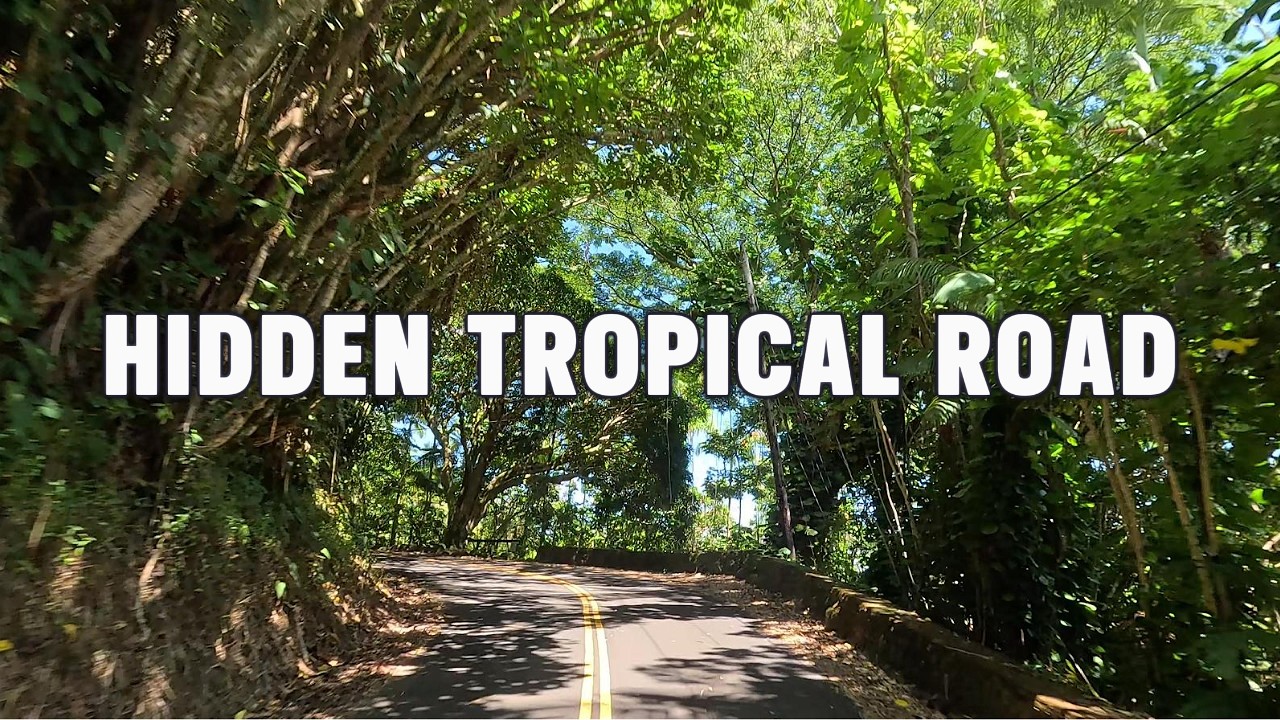 Hidden Tropical Road 🌿 | Sugar Mill Rd Scenic Drive – Big Island Hawaii
