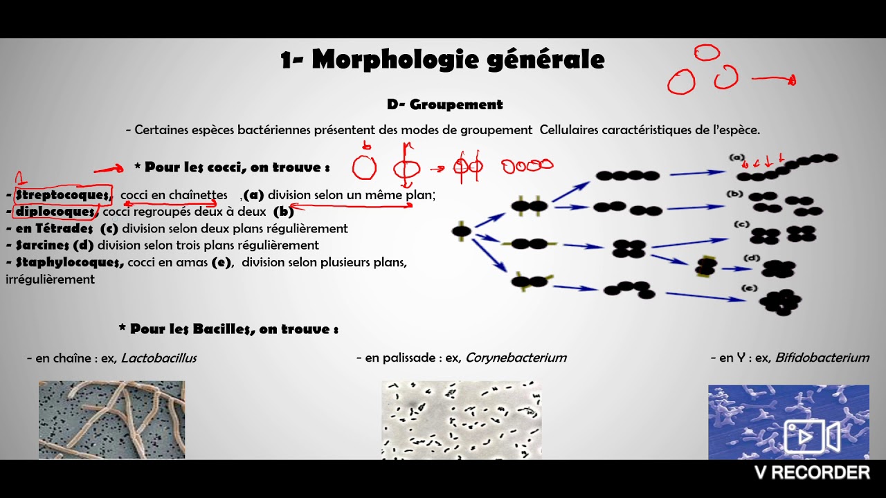 Microbiolgie générale _ cour 3