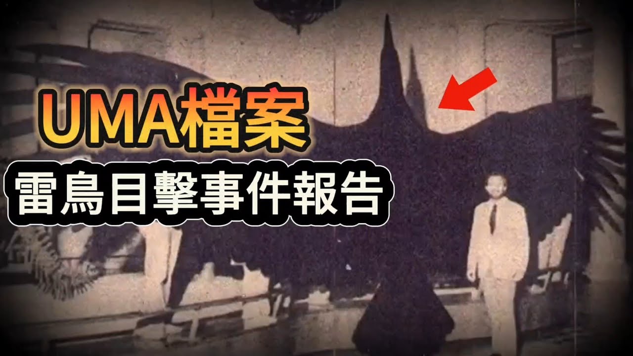 《UMA檔案系列》雷鳥謎團：政府壓制下，天空中不為人知的巨獸真相