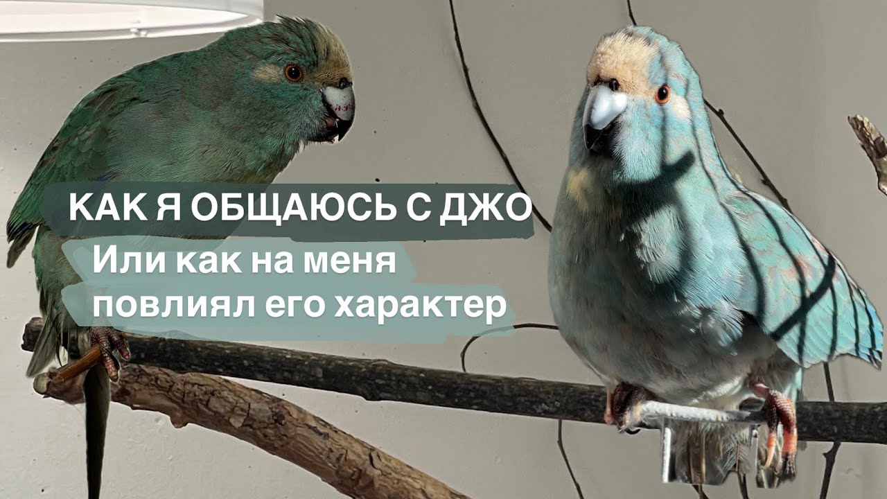 Продолжение истории Джо. Как же мы взаимодействуем. 