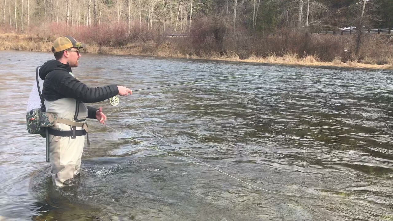 Gear Reviews & What's New | Echo Streamer X