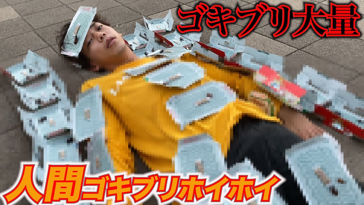 ゴキブリが大量発生してる所で人間ゴキブリホイホイしたらヤバすぎたwwww