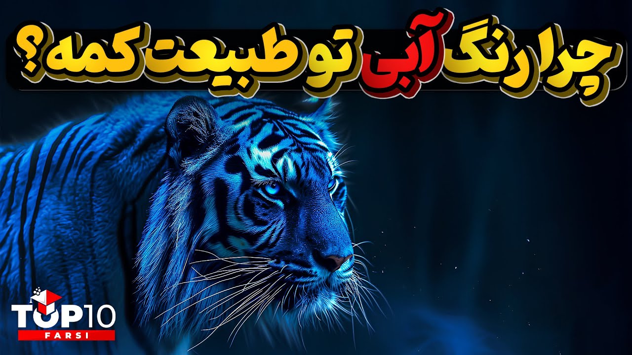 رنگ آبی مکمل زیبایی های طبیعت چطور نمایان میشود؟