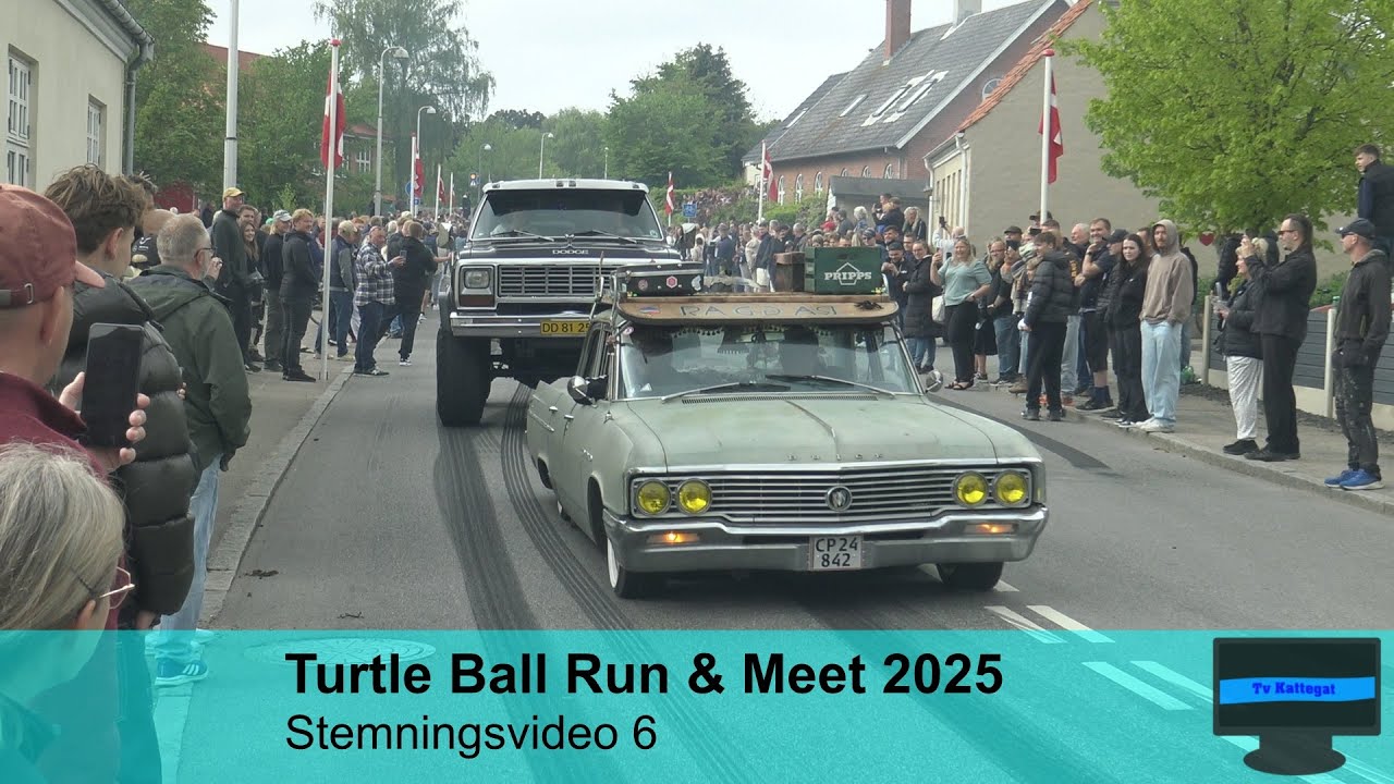 Turtle Ball Run & Meet 2025 - Stemningsvideo 6