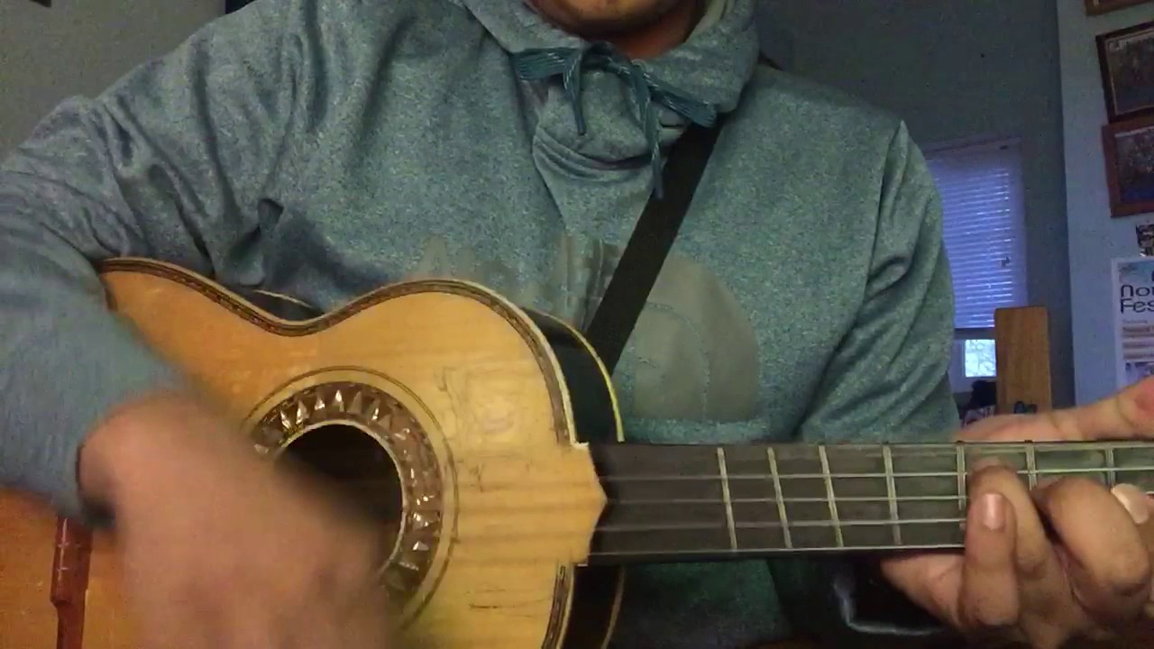 El Zopilote Mojado Mariachi Vargas Vihuela Cover (Polka)