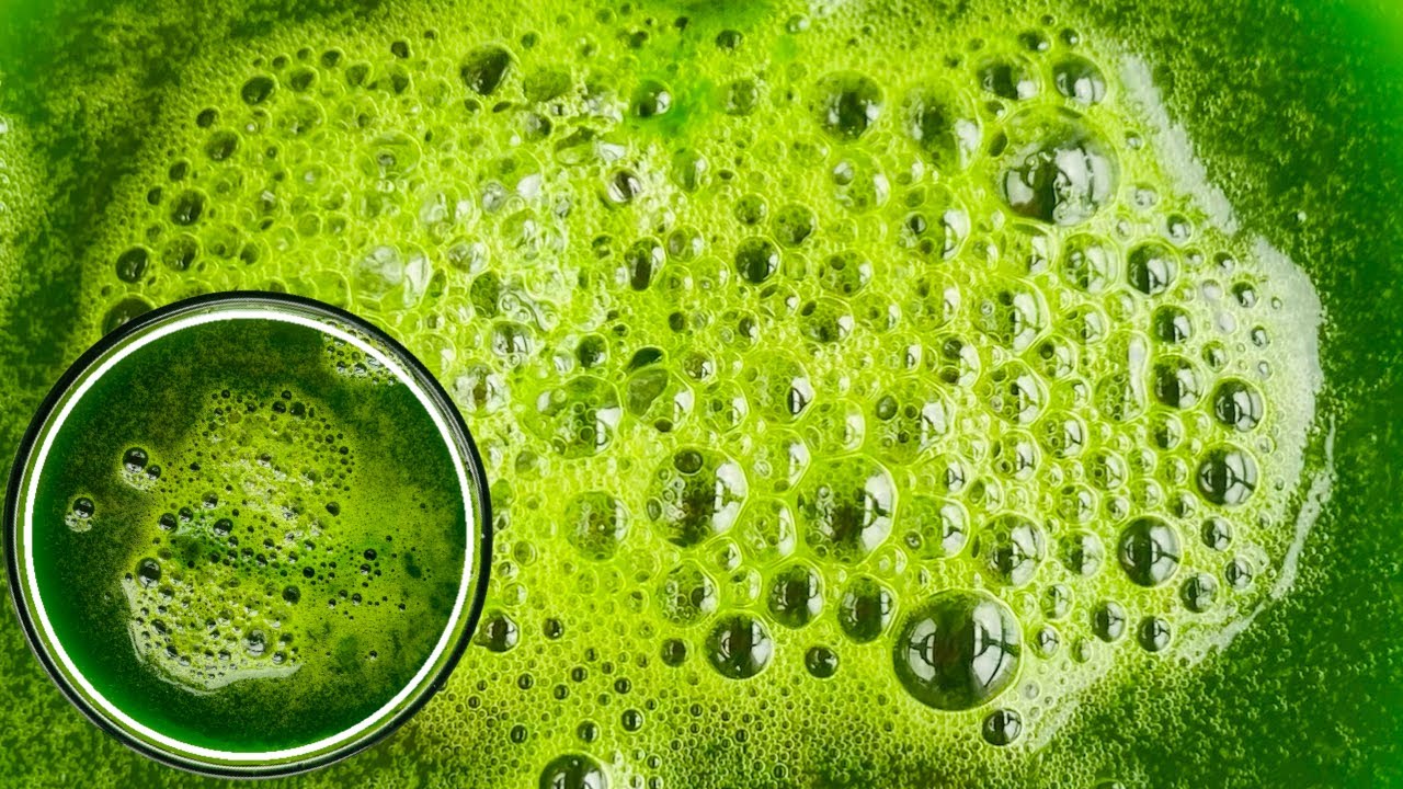 SHAMPOING AU PERSIL 100% NATUREL