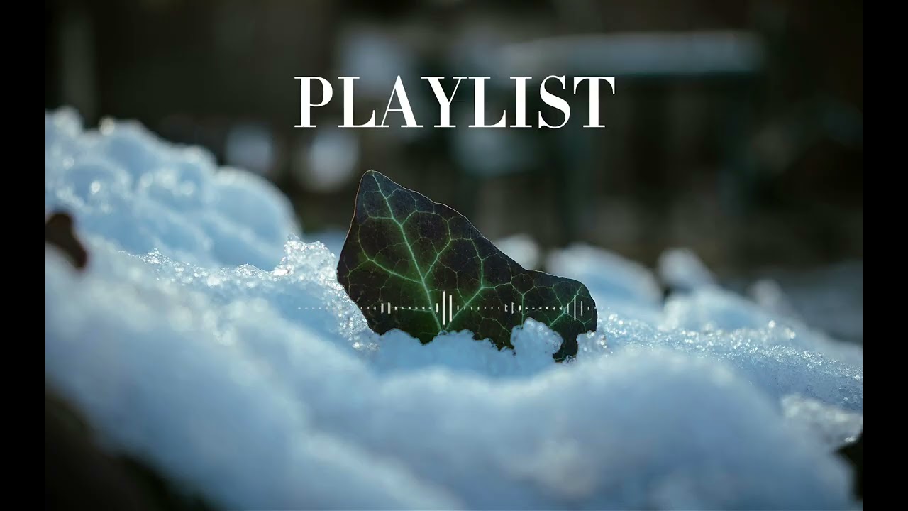 [Playlist] 자신을 사랑하는 것이야말로 평생 이어질 로맨스의 시작이다. 듣기만 해도 나를 사랑해지는 음악