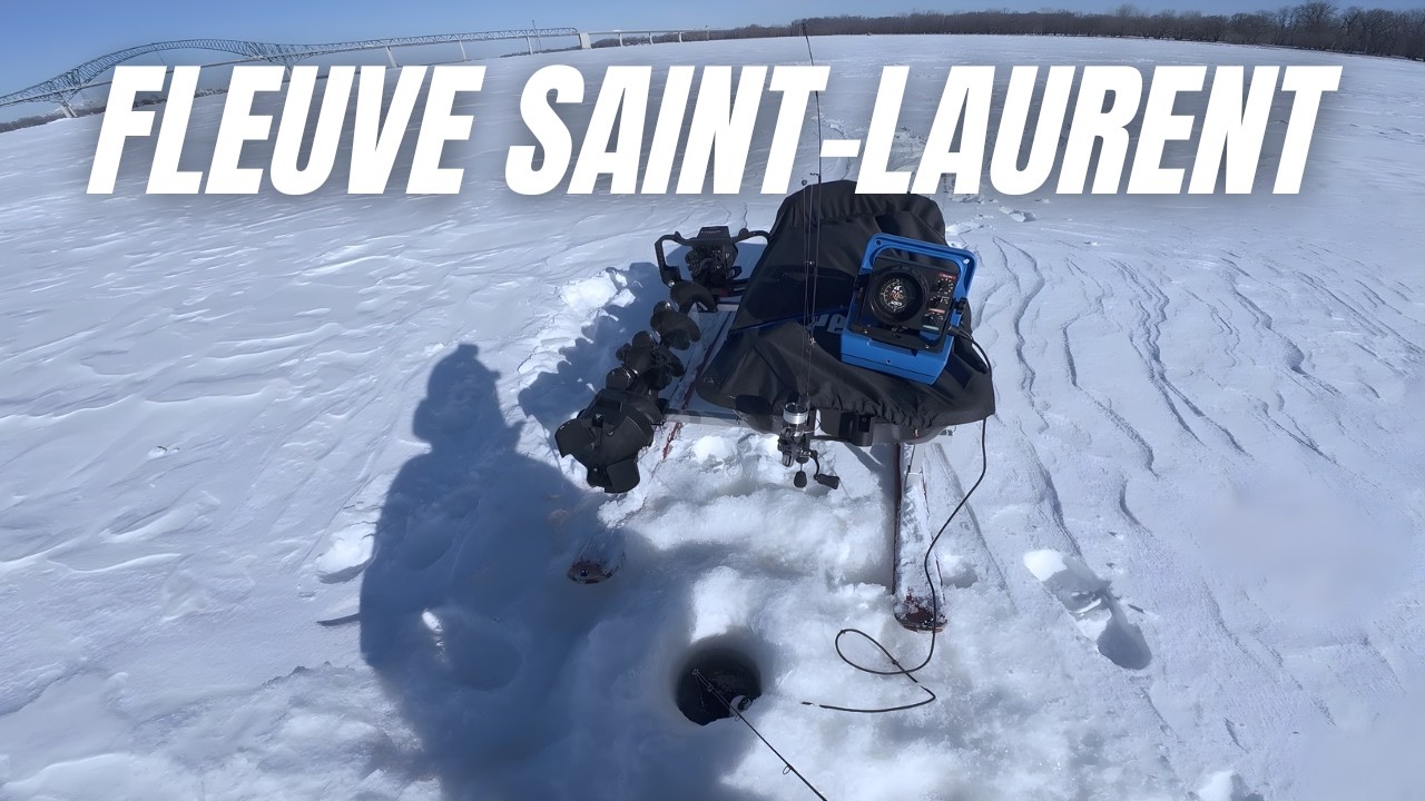 Pêche sur glace : TRAQUE AU DORÉ sur le fleuve Saint-Laurent (Smitty sled)