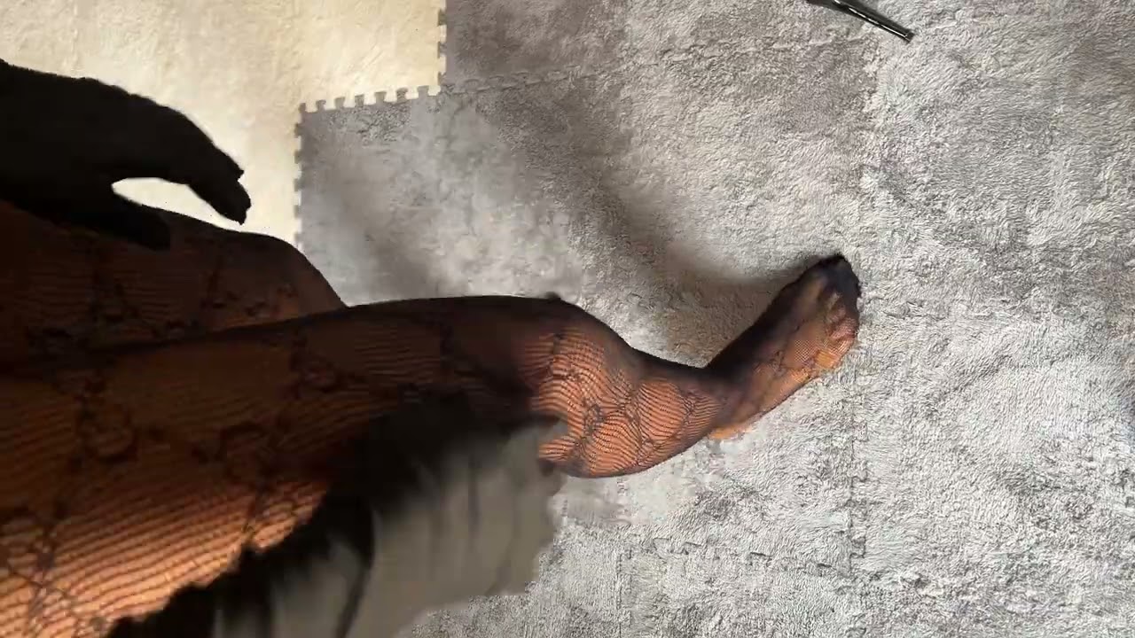 GG Interlocking Monogram Print Mesh Pantyhose Try-On | Legs, Fit, Finish