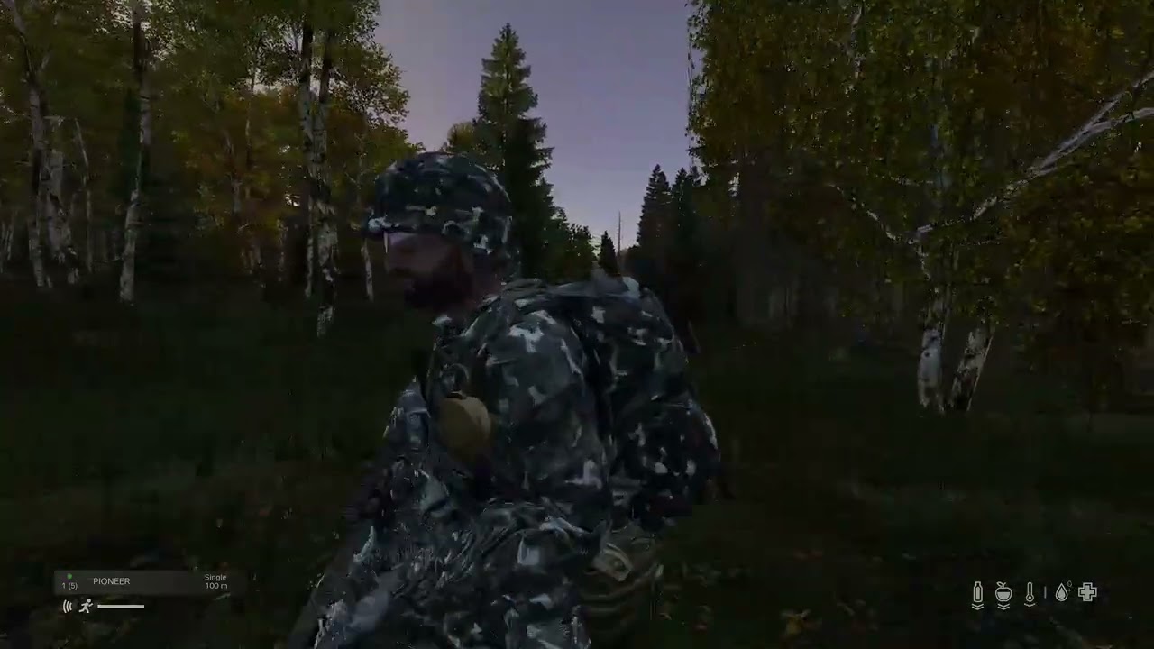 SVRN RP servers DayZ 