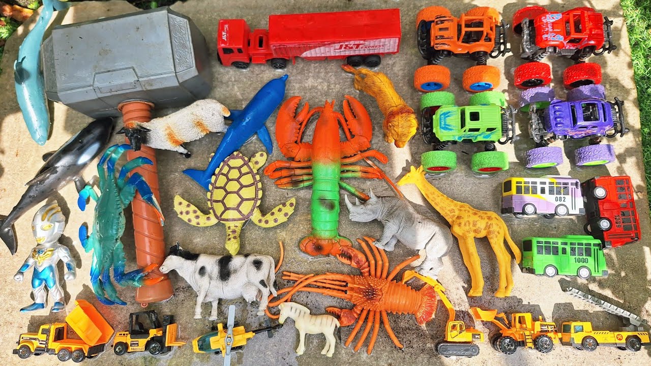 Hunting mainan hanyut mengambang berserakan di kolam, dapat mobil mobilan,truk,singa,sapi,lobster