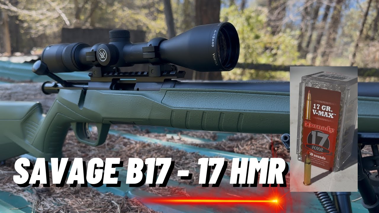 17 HMR — это лазер! — Savage B17 FV-SR