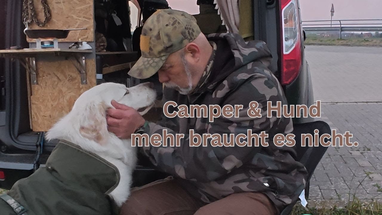 Minicamper & Hund – spontane Nacht am Deich