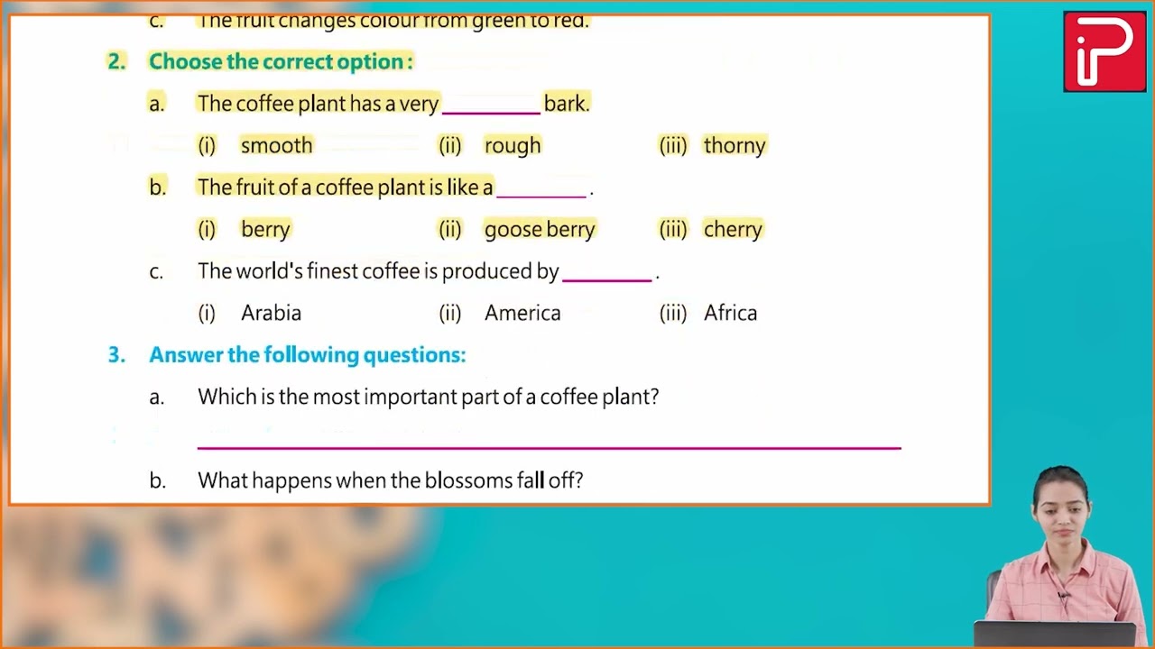 Ch 27 | Pan India | Grammar | Class 04 | Comprehension | For children