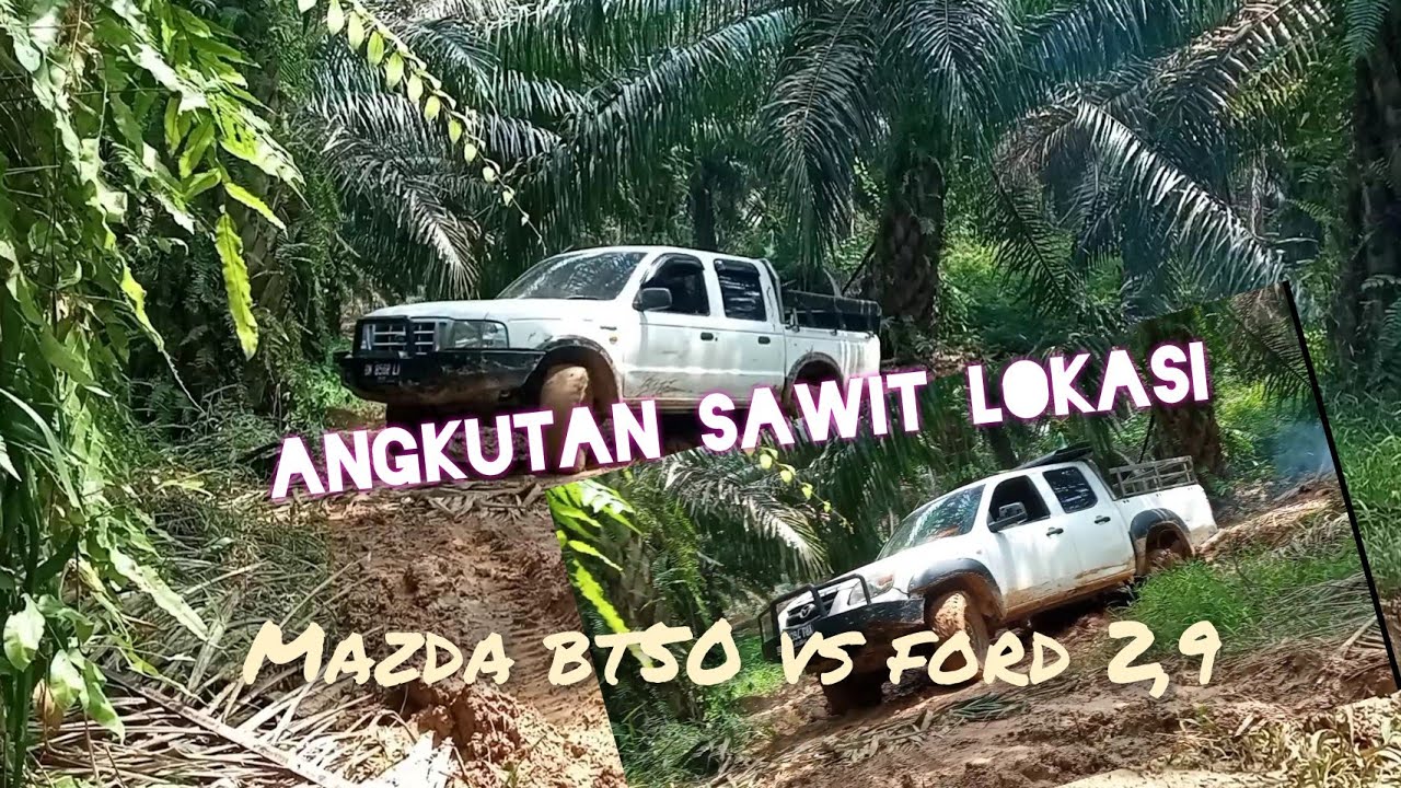 Mazda bt50 VS ford 2,9 adu nyali di jalan berlumpur