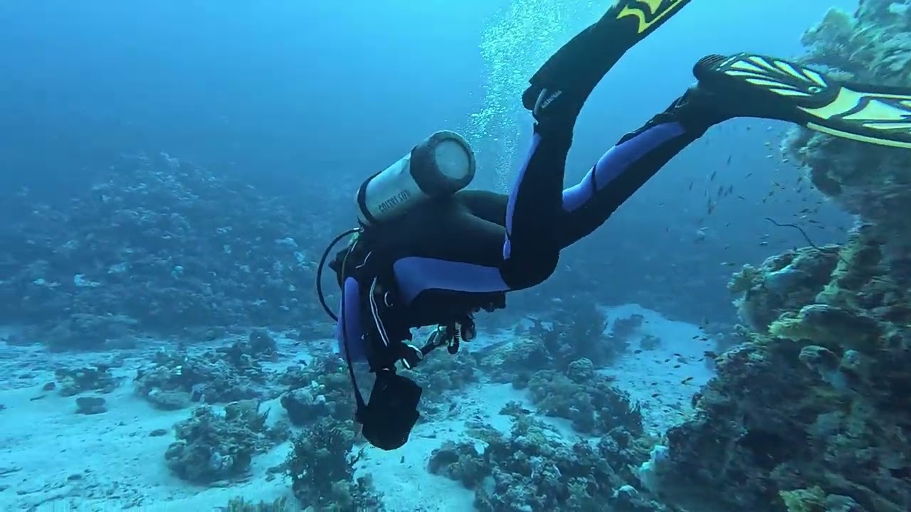 Elba Reef North Plateau 12.11.2023 Red Sea Sudanese Border