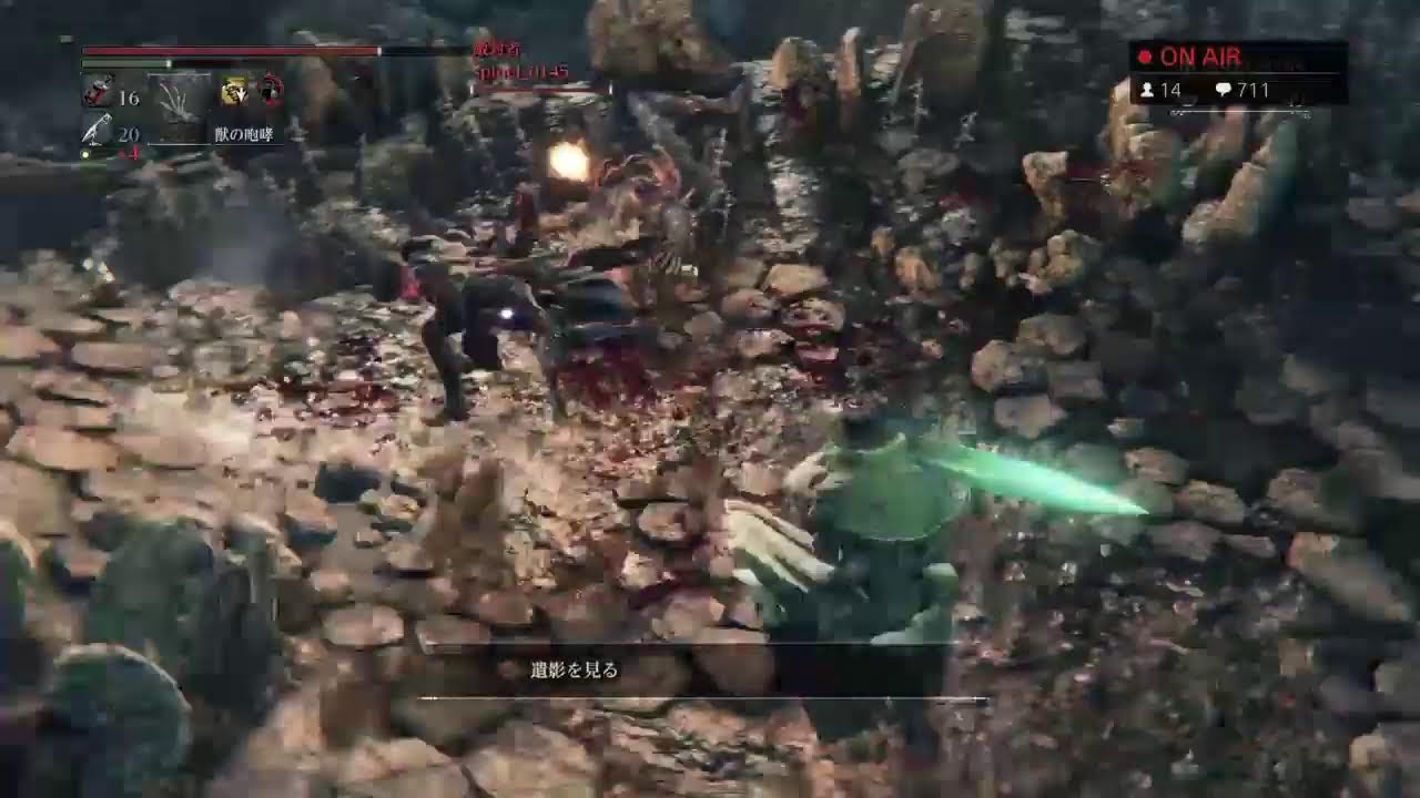 【Bloodborne】辺境ライブカメラ【レベル160】