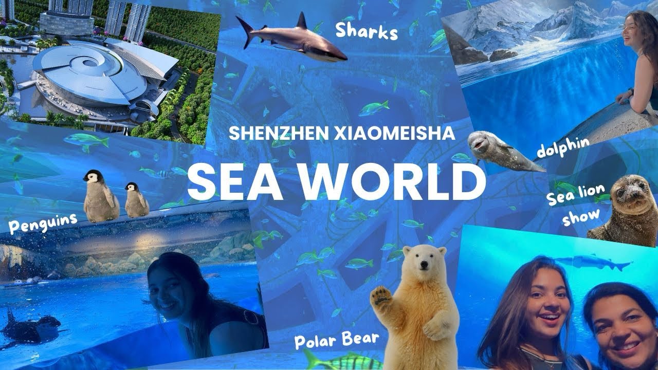 Sea World🐬🌊🧜‍♀️🐳| My parents came to China🤩💙| Shenzhen Xiaomeisha Sea World🐙|✨Indian in China🇨🇳