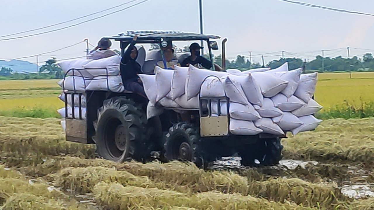 Máy cày chở hàng khủng lội ruộng leo núi xem cực đã.