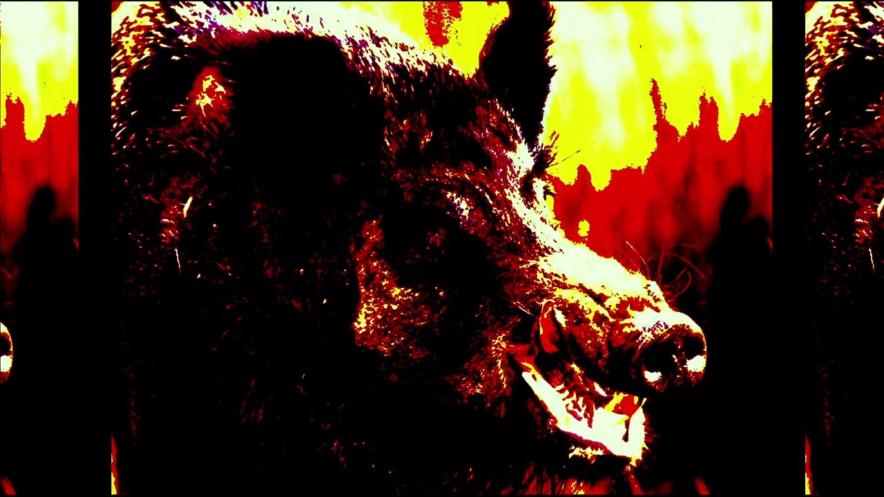 Boar (Demo)