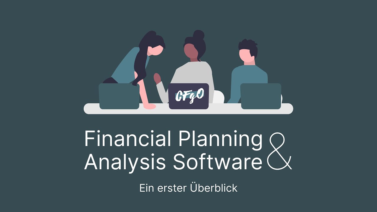Erste Einblicke in die Finanzanalyse-Software der CFgO