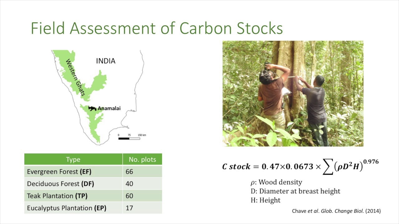 Carbon Sequestration in Natural Tropical Forests and Plantations