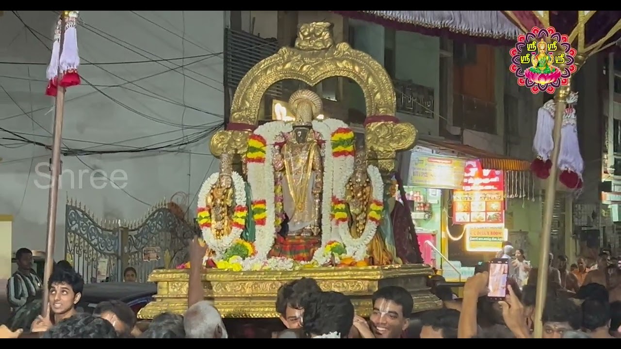 பார்த்தசாரதி பெருமாள் இராப்பத்து உற்சவம் ஐந்தாவது நாள் புறப்பாடு | திருவல்லிக்கேணி | 2026 | Shree