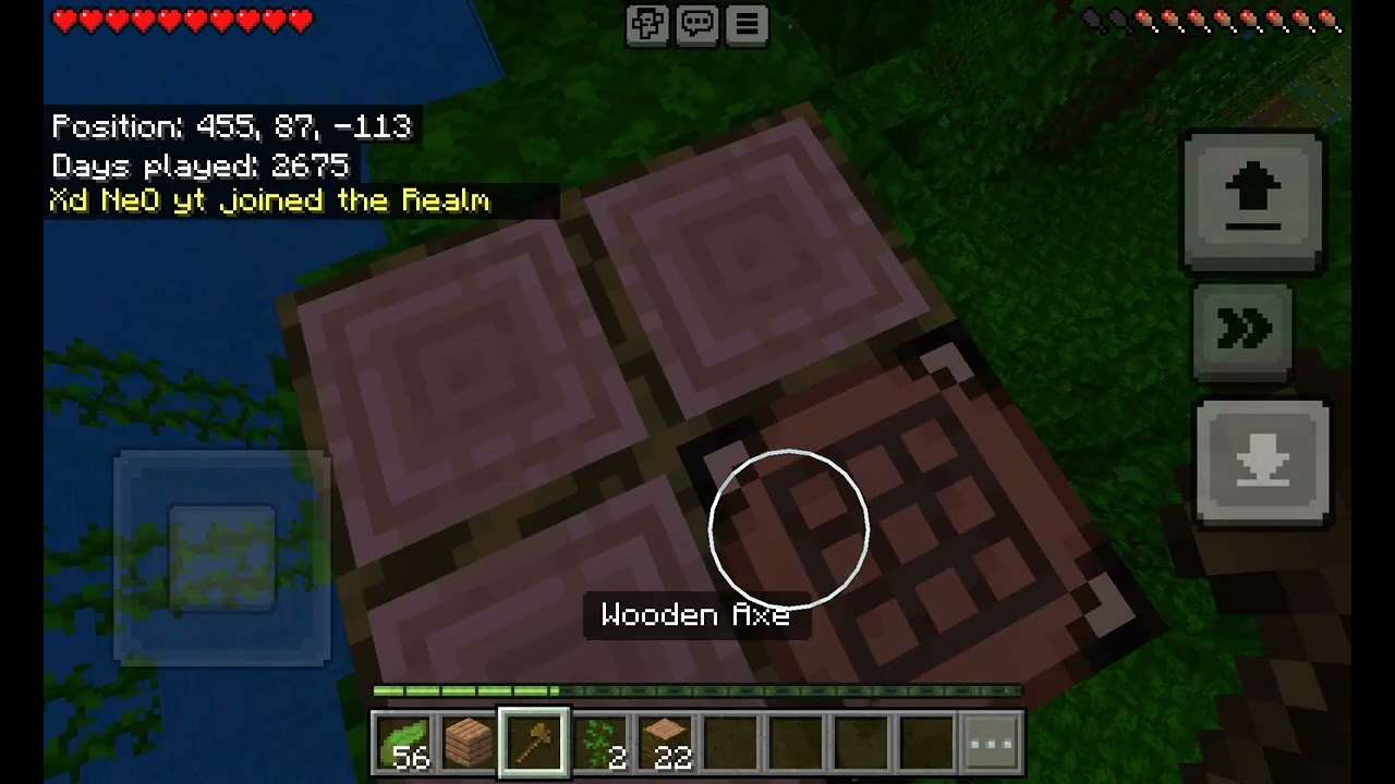 April 7th 2025 (invisible bedrock abuse) on a realm where the owner 