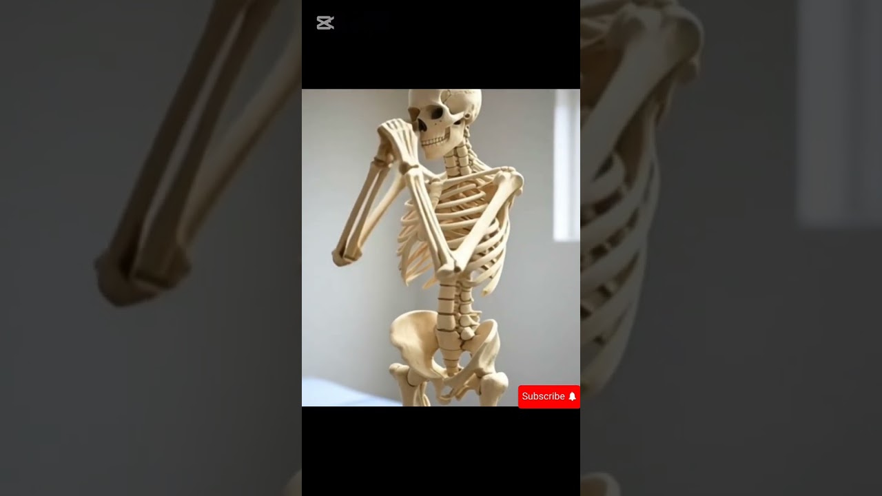 Le squelette humain en sport#squelette #humain #sport #animation #3d #anatomy