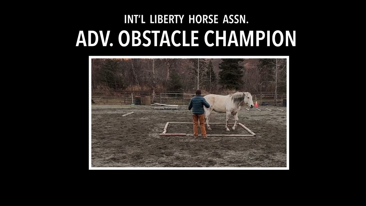 JP Zaire - ILHA 2024 Online Champion - Advanced Obstacles