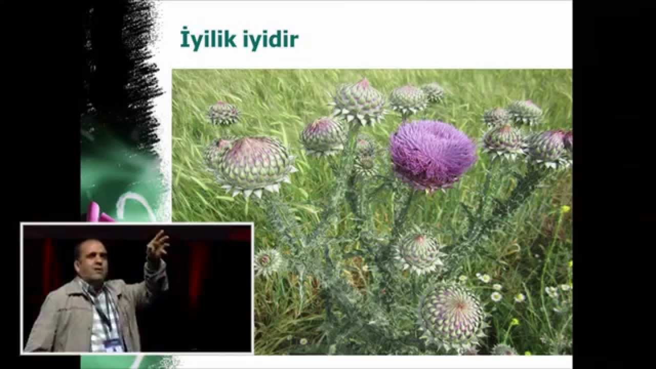 Eğitime farklı pencereden bakmak: Hacı Ormanoğlu at TEDxReset 2014