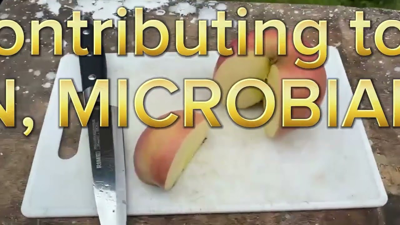 Good and Bad Microorganisms. Fermentation of fish as biopreservation, Apple as food spoilage group3