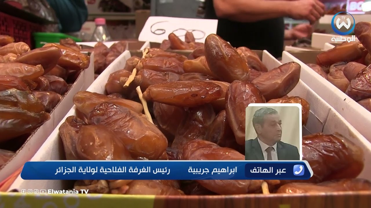 الجزائر تحتل المرتبة الثالثة عالميا ضمن قائمة أكبر منتجي التمور
