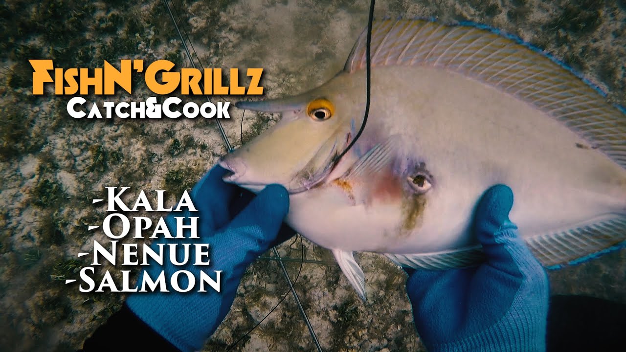 Unicornfish(Kala), Chub(Nenue), Moonfish(Opah), Salmon Head -Catch and Cook- Spearfishing Hawaii