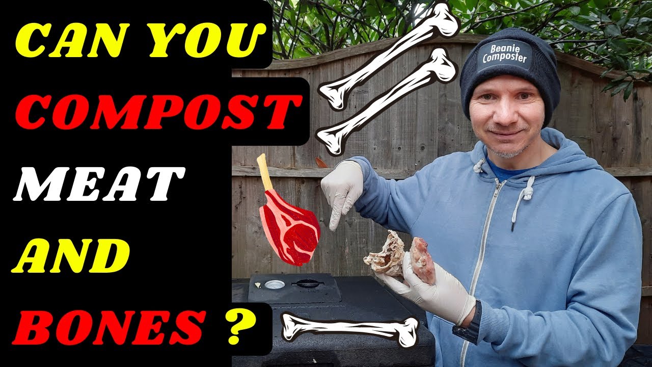 Can You Compost Meat And Bones? (@BeanieComposter)
