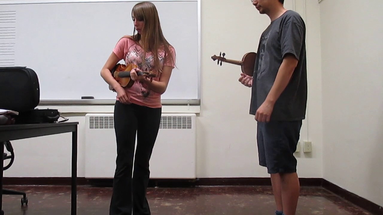 Suzuki Lesson to Adult Beginner