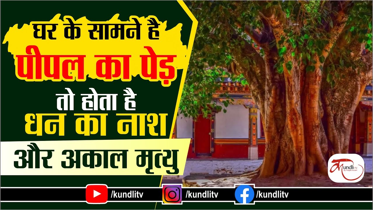 Pipal at Home in hindi | घर के सामने है पीपल का पेड़ तो होता है धन का नाश और अकाल मृत्यु